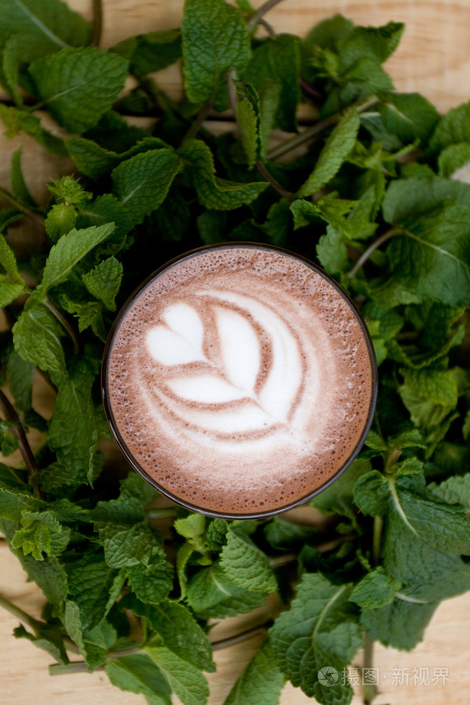 在香薄荷的有用和健康薄荷可可小枝