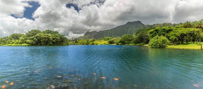 Hoomaluhia 湖全景