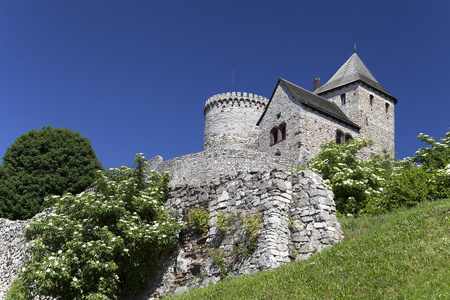 查看本津在波兰上西里西亚的城堡照片