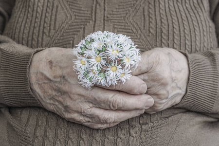 皱纹的手握着一位老人拿着花的