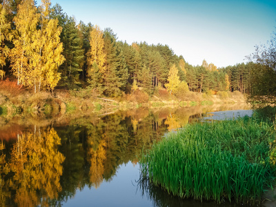 许多颜色秋天的树林反映在水河