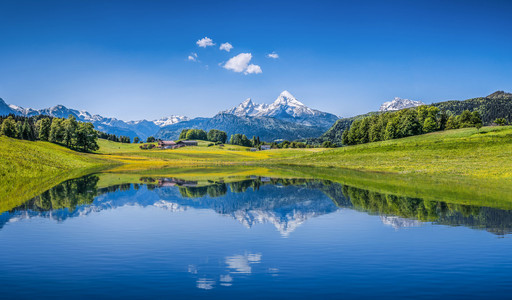田园诗般的夏日风景与清除在阿尔卑斯山的高山湖泊