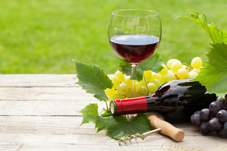 红酒 葡萄酒瓶和葡萄