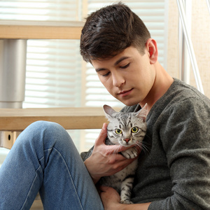 英俊的猫图片