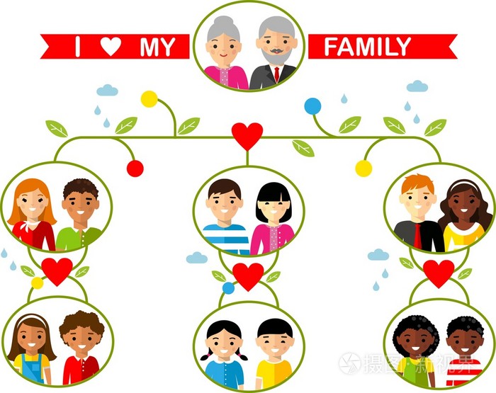 国际家庭树的向量概念
