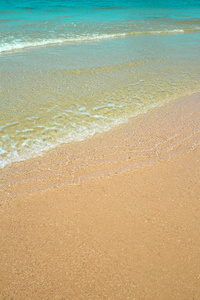 海滩与砂背景