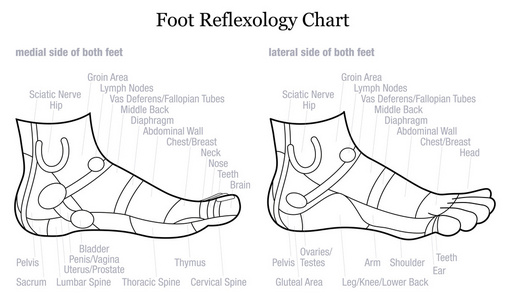 足反射疗法简介侧描述概要