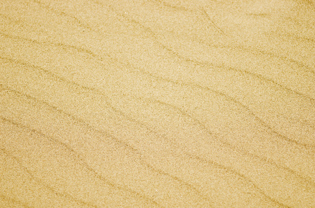 无缝纹理的沙滩。沙背景模板。沙滩
