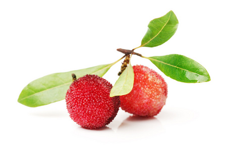 清新水果杨梅展板图片