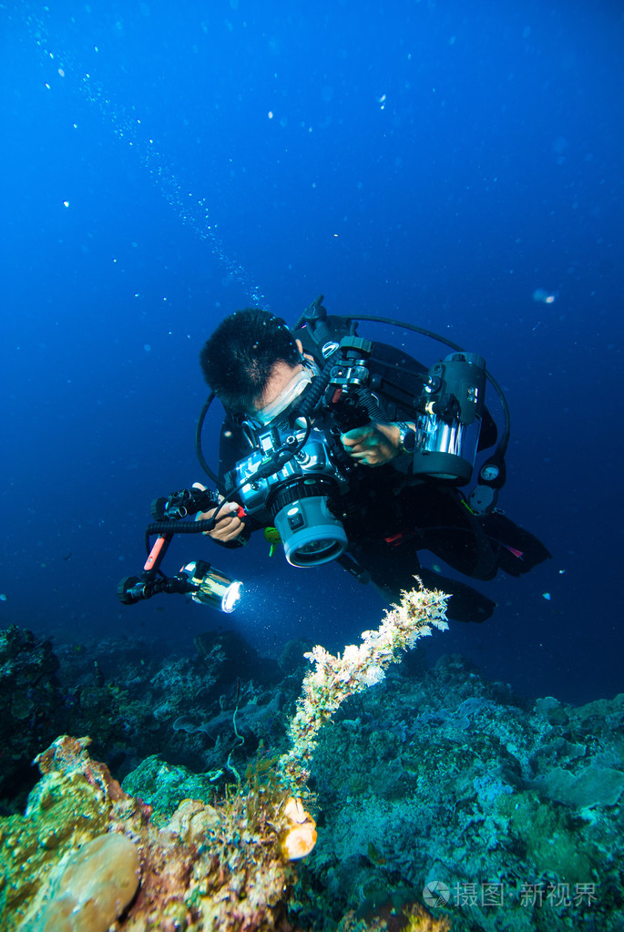 水下摄影的摄影师潜水员潜水布纳肯印度尼西亚礁海洋照片-正版商用