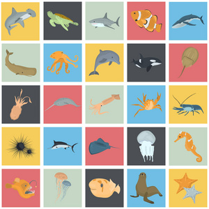 一套海洋动物颜色平图标 web 和移动设计