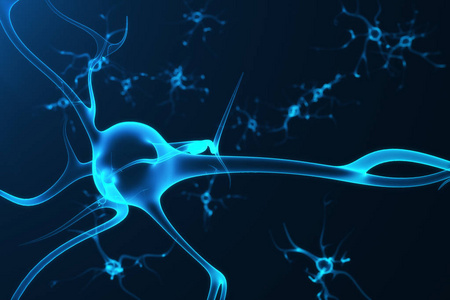 神经网络探索：神经元与数据传输的生物科学思想