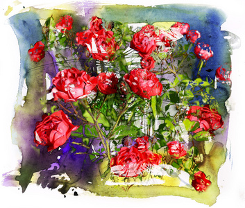 玫瑰 水彩画 混合媒介背景
