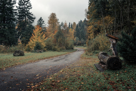 福森，巴伐利亚，德国。行山径附近湖 Schwansee 到秋天的树林