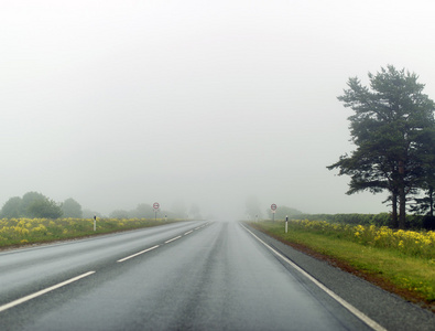 在夏天空雾城市的道路