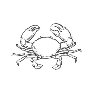 龙虾螃蟹图片-龙虾螃蟹素材-龙虾螃蟹插画-摄图新视界