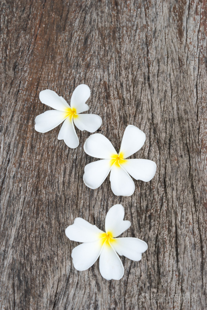 白色的鸡蛋花 (鸡蛋) 木背景,选择性焦点