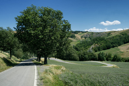 Rivalta di Lesignano帕尔马意大利夏季景观