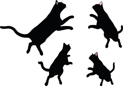 小可爱的猫跌倒和跳跃在白色可爱的小猫咪在跳跃中的红颜色.孤立.