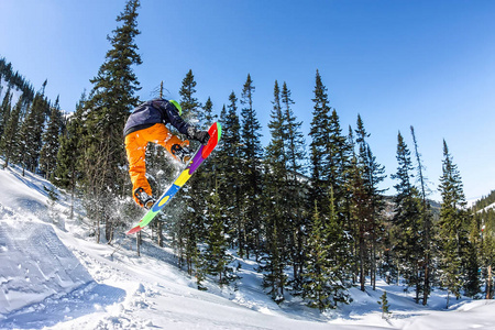 滑雪板 freerider 跳从太阳雪匝道上的山川 森林背景