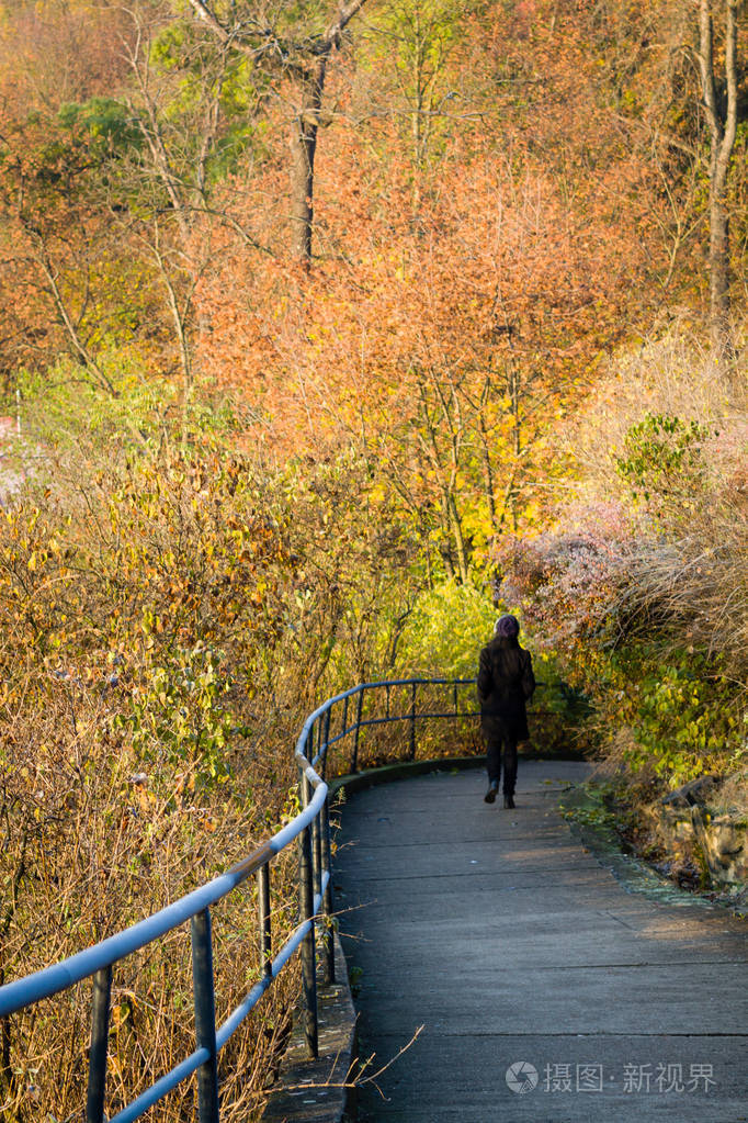 在公园的秋天行人路