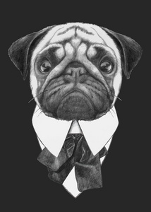 时尚插画 Pug