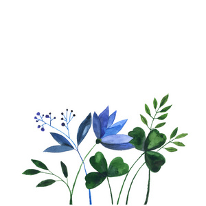 水彩涂鸦的蓝色小花和香草图片