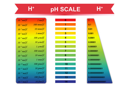向量孤立或白色背景ph 值规模普遍指标 ph 值颜色图手拿着水的 ph 值