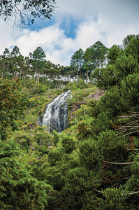 森林在阴天附近 Campos de Jordao 的悬崖和瀑布的视图