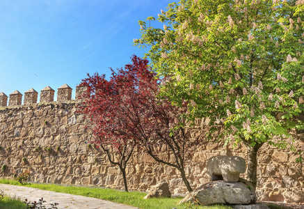 古牛雕像城堡墙壁燕子阿维拉卡斯蒂利亚西班牙