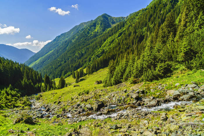 美丽的风景与在fagarasi山的山区河流