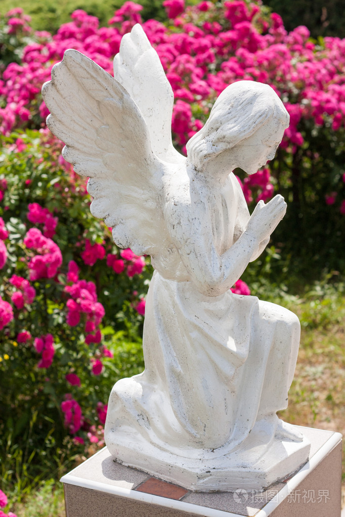 在模糊的花朵背景上的祈祷天使雕像.