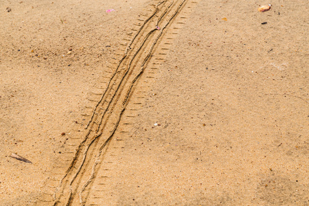 干褐色黄泥路的轮胎痕迹