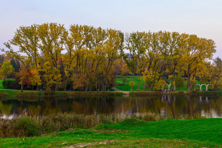 秋季自然树木与河在日落时城市公园