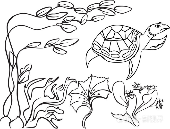 素描龟在水下世界插画-正版商用图片0d9226-摄图新视界