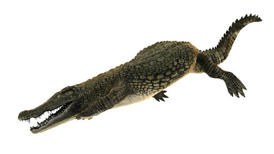 一条鳄鱼的 3d cg 渲染。