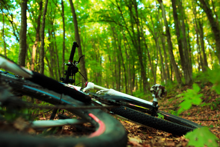 美丽的景色，在森林里的自行车