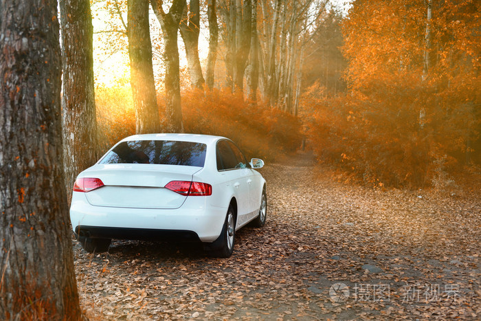 车辆在秋天的树林