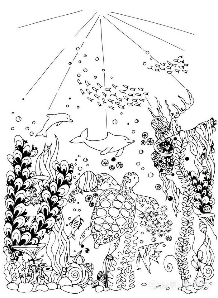 与海豚和海龟的海底世界