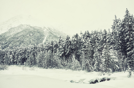 山江雪