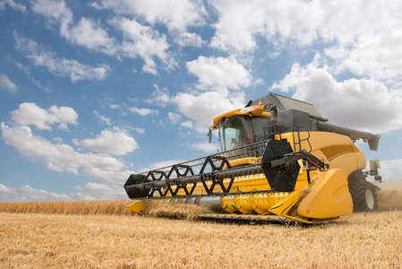 现代农业联合现代联合收割机在行动照片