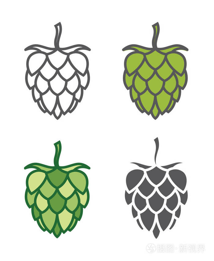 啤酒花组的图像