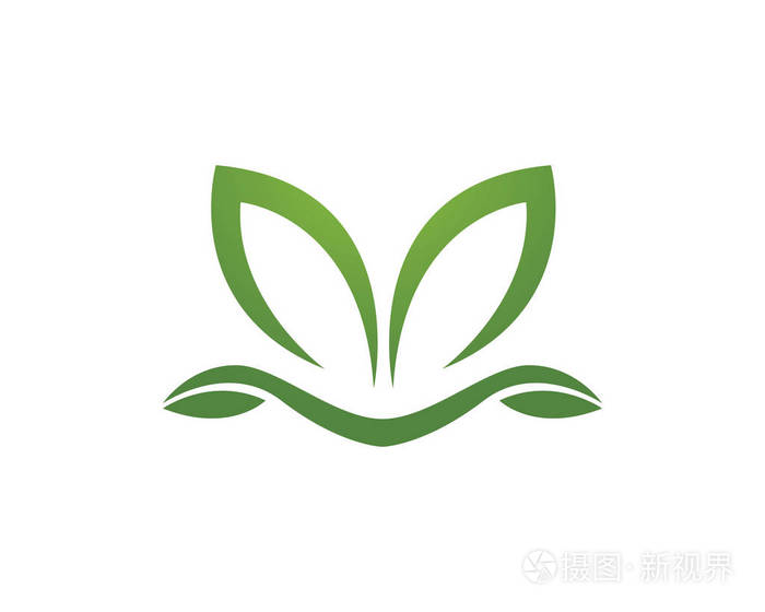 矢量树叶的绿色自然标志和符号