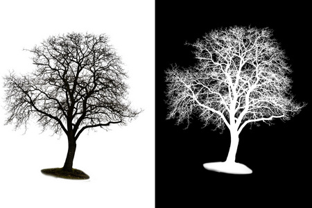 遮罩与蒙版图片