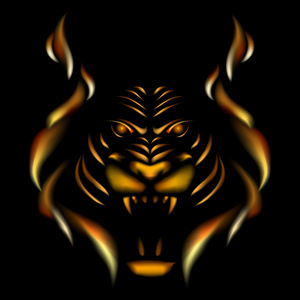 老虎的火焰照片