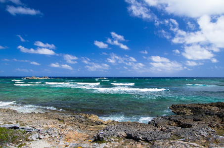 海滩和热带海