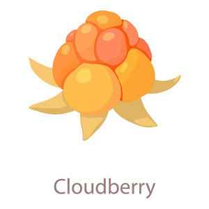 莓果图标，等距 3d 风格