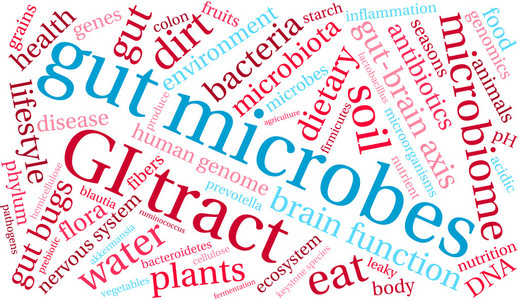 肠道微生物词云