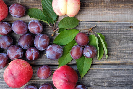 李子桃子脆图片