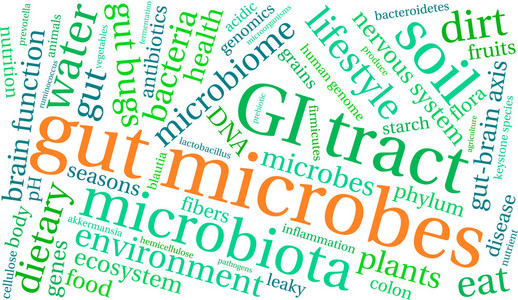 肠道微生物词云